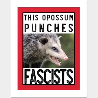 This opossum also punches fascists Posters and Art